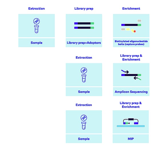 Samples through hybridization converted into sequencing libraries.