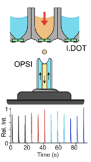 Demonstration of I.DOTOPSI-MS technique used to screen enzyme library