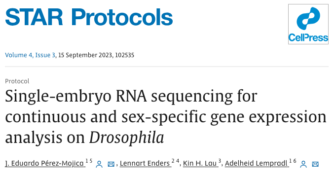 From Chaos to Clarity: Unveiling Early Gene Expression in Drosophila Using RNASeq & the I.DOT (Cell Genomics)