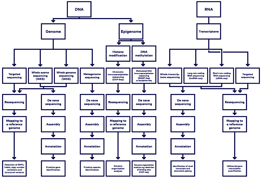 Explaining DNA vs. RNA sequencing