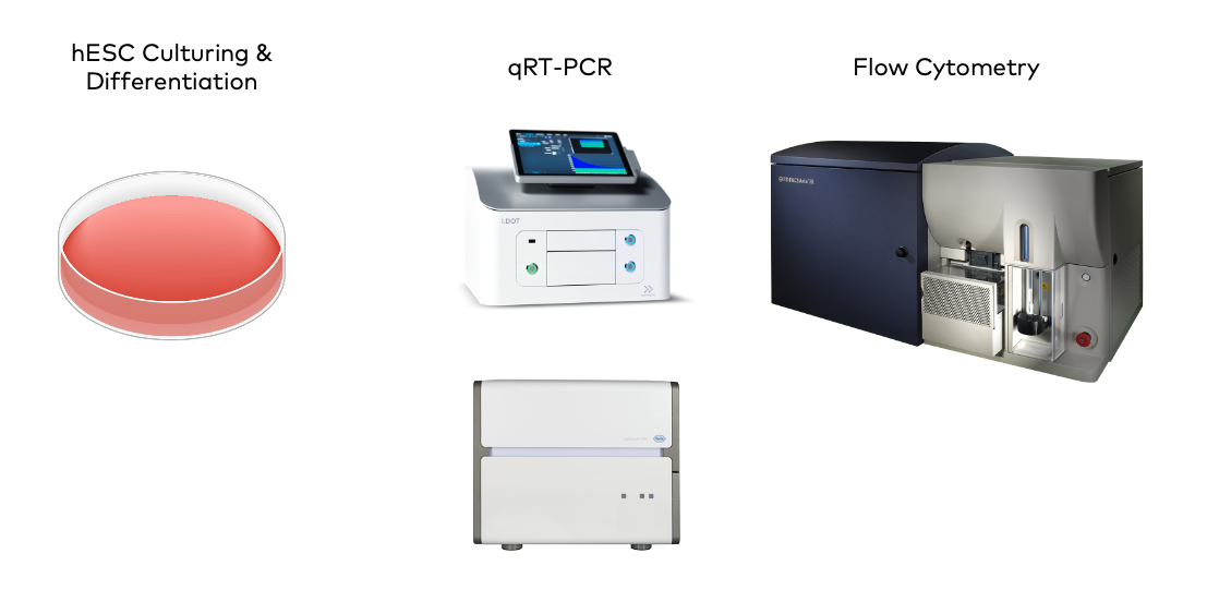 Sample preparation workflow for Kirkeby, Schörling, Hänninen, et al. (2023). 