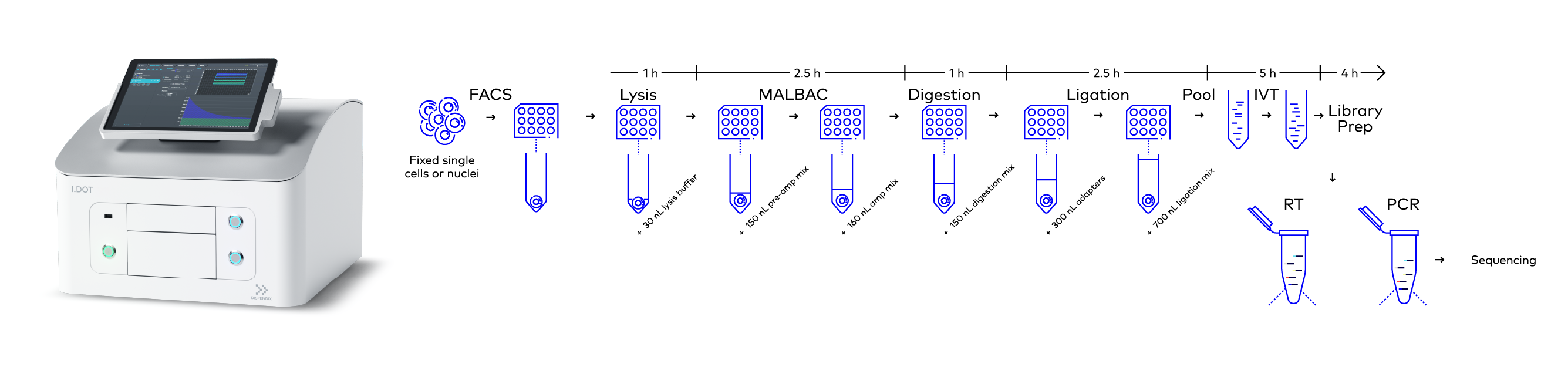 Workflow of scCUTseq. Briefly, fixed single cells or nuclei are FACS sorted into a multi-well plate and WGA is carried out using MALBAC in three steps: lysis, pre-amplification, and amplification. Digestion, ligation, and library preparation are then performed. The dispensing of all the reagents in these processes was done using the I.DOT Liquid handler. Image modified from Michele Simonetti, Ph.D. thesis, 2021.